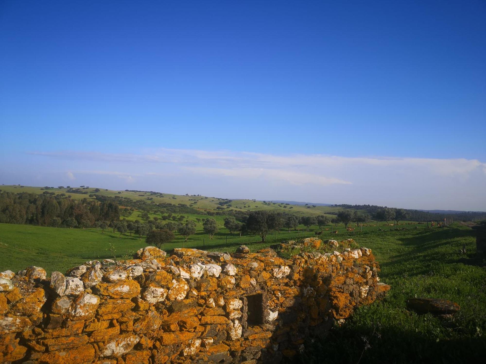 Refugio D' Aldeia Reguengos de Monsaraz